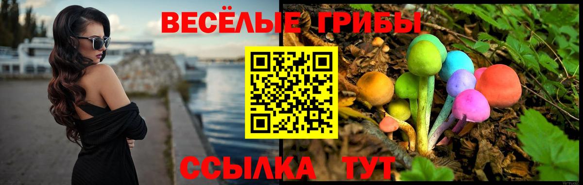 Карачаевск  Псилоцибиновые грибы мухоморы  Вход с VPN 